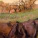 Landscape: Cows in the Foreground
